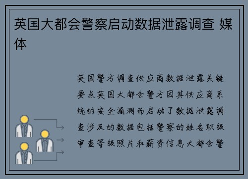 英国大都会警察启动数据泄露调查 媒体