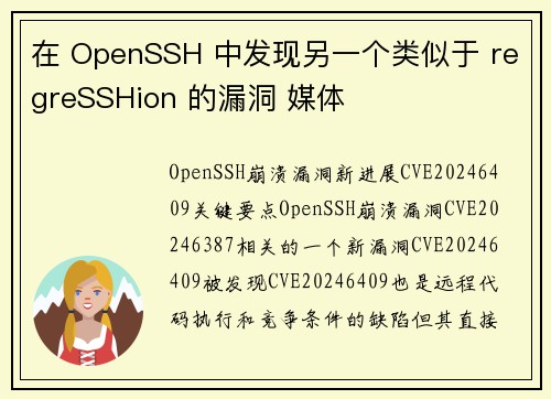 在 OpenSSH 中发现另一个类似于 regreSSHion 的漏洞 媒体
